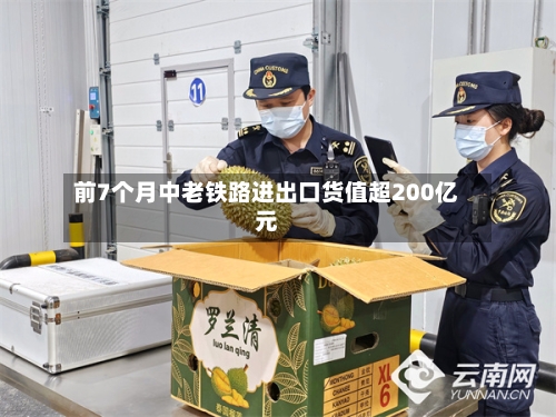 前7个月中老铁路进出口货值超200亿元-第3张图片