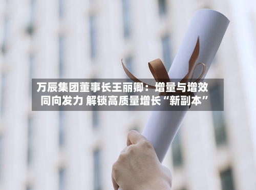 万辰集团董事长王丽卿：增量与增效同向发力 解锁高质量增长“新副本”-第2张图片
