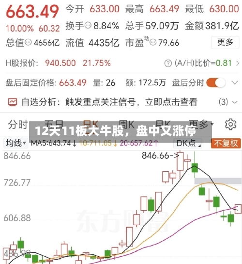 12天11板大牛股，盘中又涨停-第2张图片