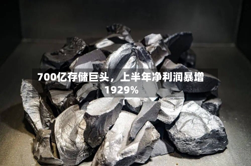 700亿存储巨头，上半年净利润暴增1929%-第2张图片