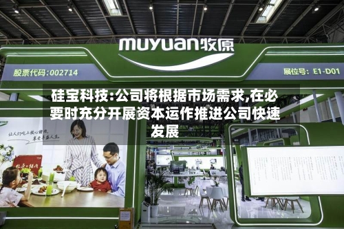 硅宝科技:公司将根据市场需求,在必要时充分开展资本运作推进公司快速发展