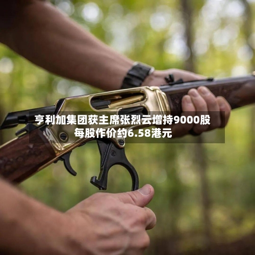 亨利加集团获主席张烈云增持9000股 每股作价约6.58港元-第2张图片