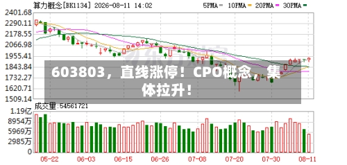 603803，直线涨停！CPO概念，集体拉升！