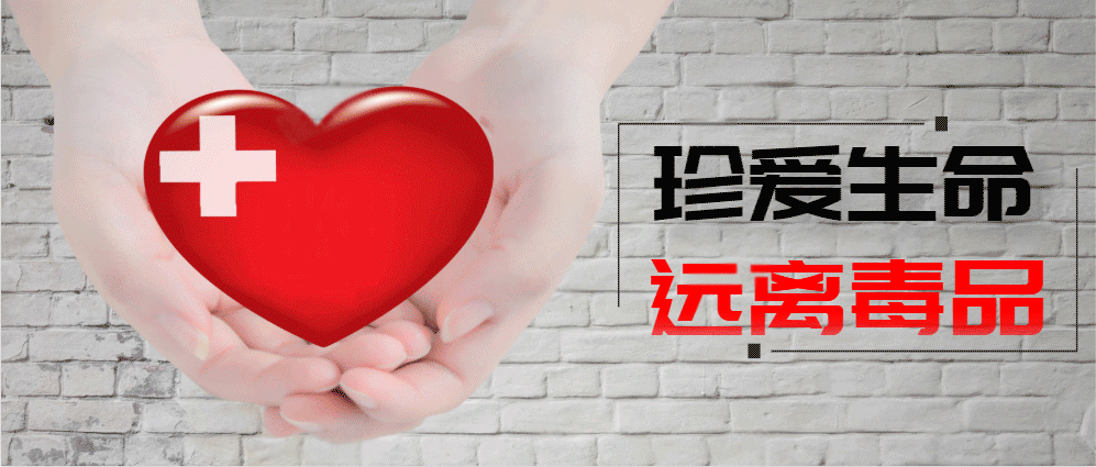 青岛市最新疫情通报(青岛最新疫情动态)-第3张图片