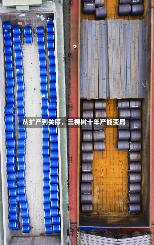 从扩产到关停，三棵树十年产能变局-第2张图片