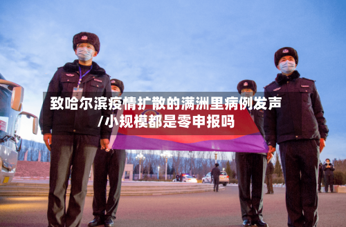 致哈尔滨疫情扩散的满洲里病例发声/小规模都是零申报吗-第3张图片