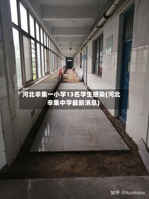 河北辛集一小学13名学生感染(河北辛集中学最新消息)-第3张图片