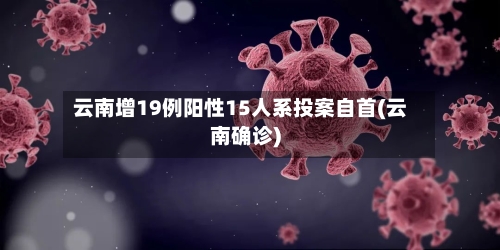 云南增19例阳性15人系投案自首(云南确诊)-第2张图片