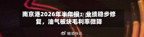 南京港2026年半年报：业绩稳步修复，油气板块毛利率微降-第2张图片