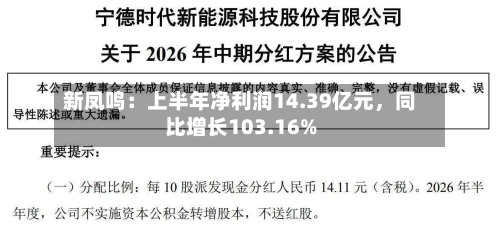 新凤鸣：上半年净利润14.39亿元	，同比增长103.16%-第2张图片