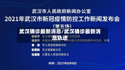 武汉确诊最新消息/武汉确诊最新消息轨迹-第2张图片