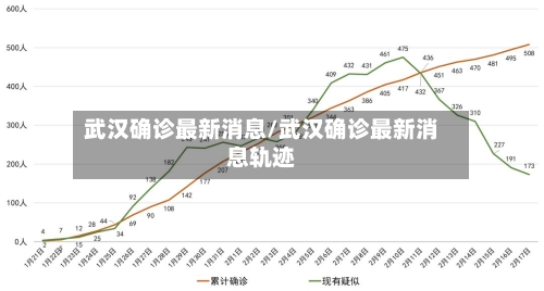 武汉确诊最新消息/武汉确诊最新消息轨迹