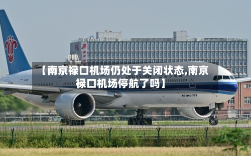 【南京禄口机场仍处于关闭状态,南京禄口机场停航了吗】-第2张图片