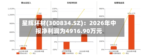 星辉环材(300834.SZ)：2026年中报净利润为4916.90万元-第2张图片
