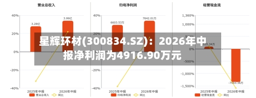 星辉环材(300834.SZ)：2026年中报净利润为4916.90万元