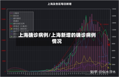 上海确诊病例/上海新增的确诊病例情况-第2张图片