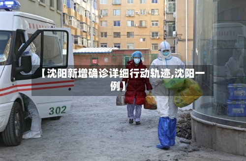 【沈阳新增确诊详细行动轨迹,沈阳一例】-第2张图片