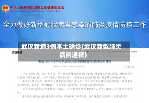 武汉新增3例本土确诊(武汉新型肺炎病例通报)