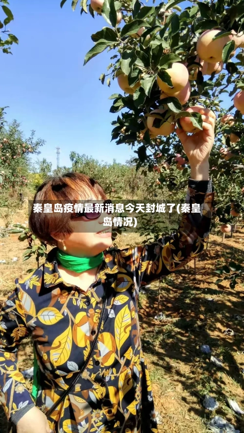 秦皇岛疫情最新消息今天封城了(秦皇岛情况)