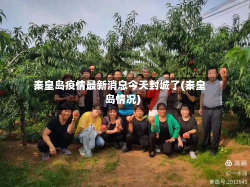 秦皇岛疫情最新消息今天封城了(秦皇岛情况)-第3张图片