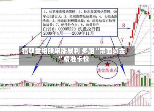 猎取重组股飙涨暴利 多路“蒙面资金	”精准卡位-第2张图片