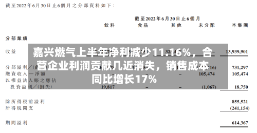 嘉兴燃气上半年净利减少11.16%，合营企业利润贡献几近消失，销售成本同比增长17%-第3张图片