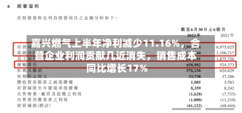嘉兴燃气上半年净利减少11.16%，合营企业利润贡献几近消失，销售成本同比增长17%-第2张图片