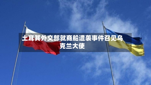 土耳其外交部就商船遭袭事件召见乌克兰大使-第3张图片