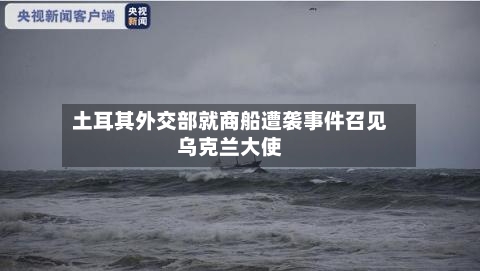 土耳其外交部就商船遭袭事件召见乌克兰大使