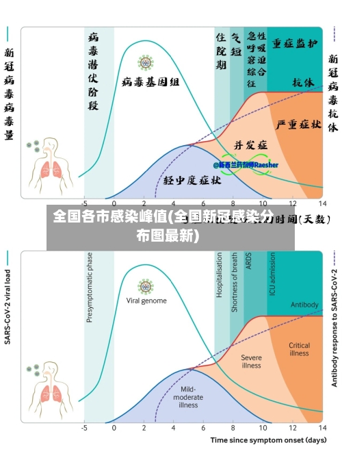 全国各市感染峰值(全国新冠感染分布图最新)