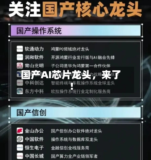 国产AI芯片龙头，来了！-第3张图片