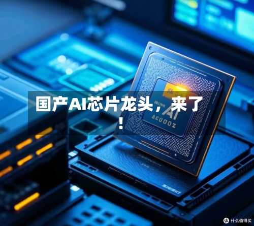 国产AI芯片龙头，来了！-第2张图片