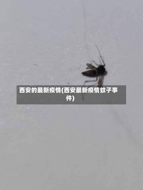 西安的最新疫情(西安最新疫情蚊子事件)