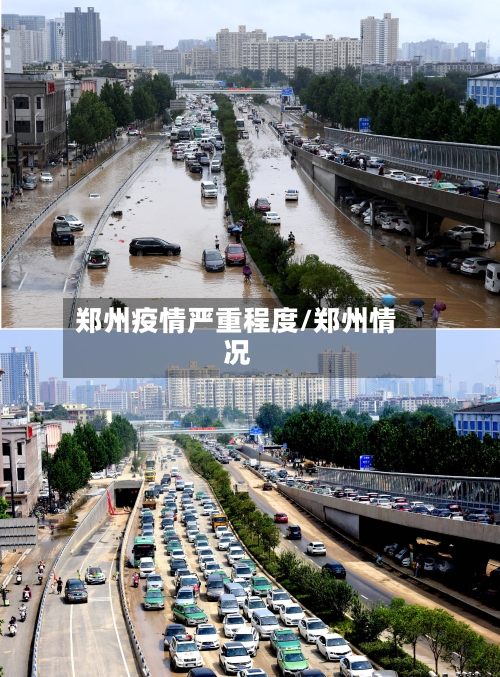 郑州疫情严重程度/郑州情况