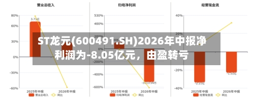 ST龙元(600491.SH)2026年中报净利润为-8.05亿元，由盈转亏-第2张图片