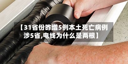 【31省份昨增5例本土死亡病例涉5省,电线为什么是两根】
