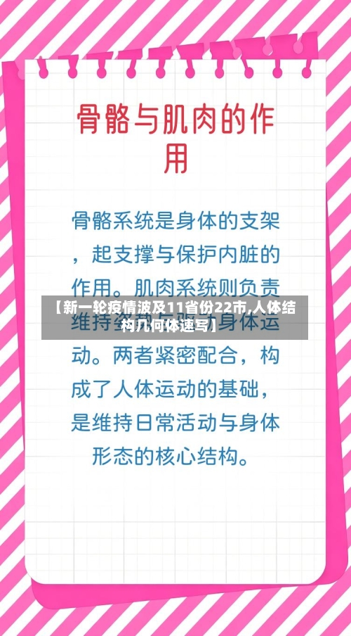 【新一轮疫情波及11省份22市,人体结构几何体速写】