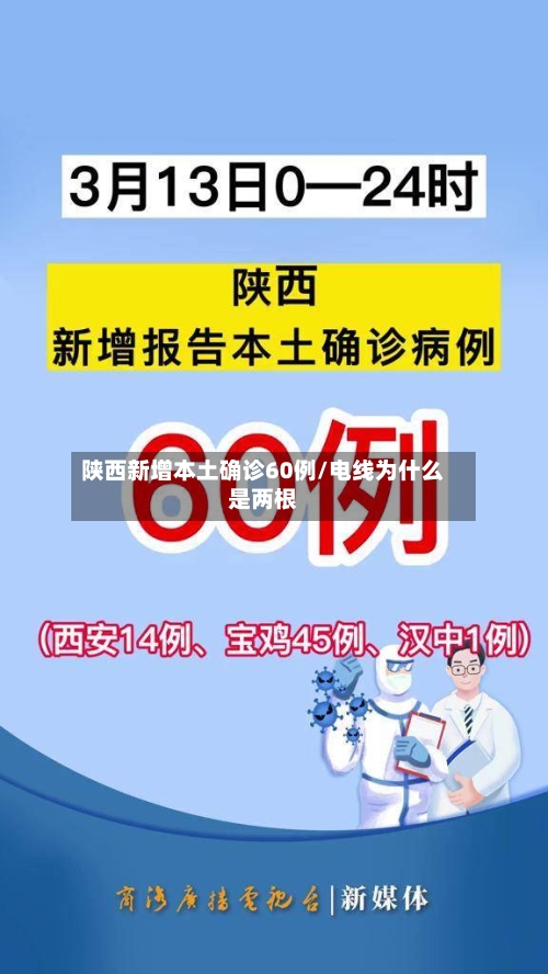陕西新增本土确诊60例/电线为什么是两根-第3张图片