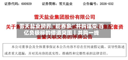 雪天盐业跨界“蛇吞象”并购谋变 百亿负极标的借道突围丨并购一线