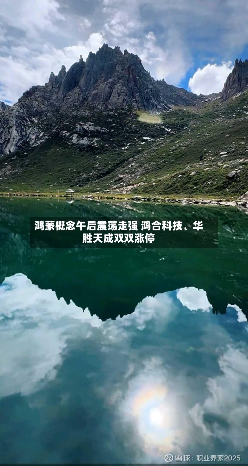 鸿蒙概念午后震荡走强 鸿合科技	、华胜天成双双涨停-第2张图片