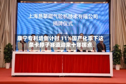 康宁专利墙倒计时 11%国产化率下这条卡脖子赛道迎来十年拐点