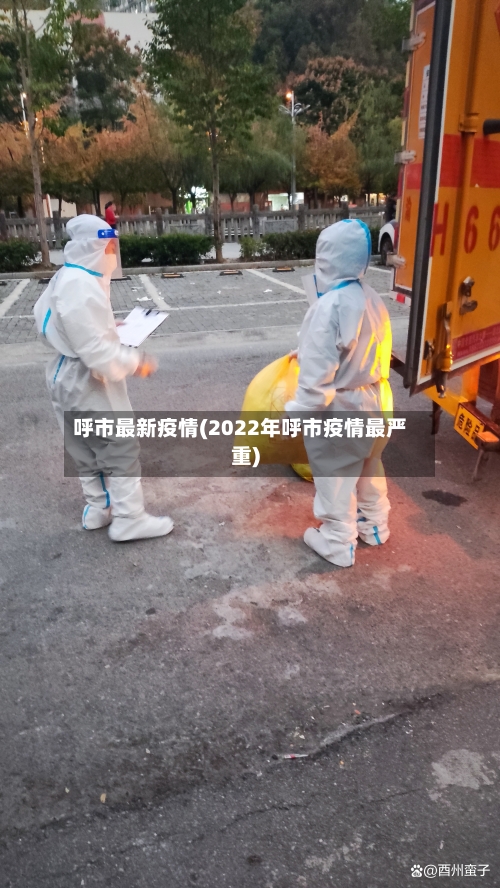 呼市最新疫情(2022年呼市疫情最严重)-第2张图片