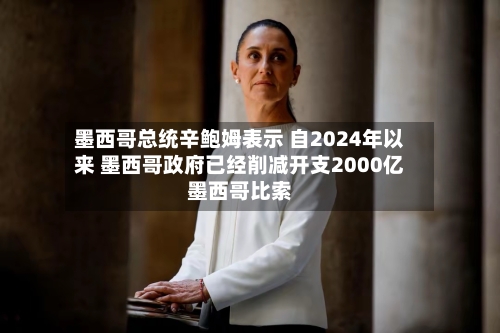 墨西哥总统辛鲍姆表示 自2024年以来 墨西哥政府已经削减开支2000亿墨西哥比索-第2张图片