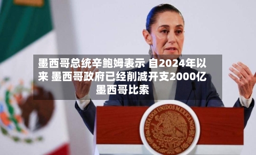 墨西哥总统辛鲍姆表示 自2024年以来 墨西哥政府已经削减开支2000亿墨西哥比索
