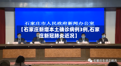 【石家庄新增本土确诊病例3例,石家庄新冠肺炎近况】-第2张图片