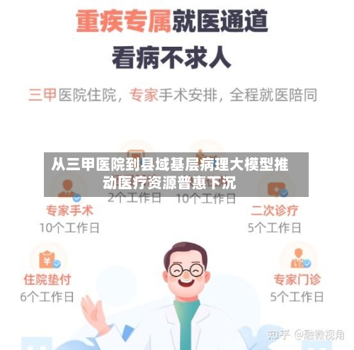从三甲医院到县域基层病理大模型推动医疗资源普惠下沉