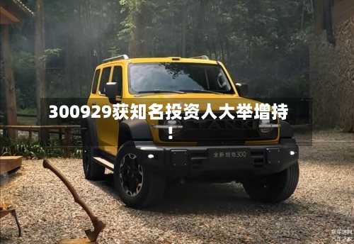 300929获知名投资人大举增持!-第2张图片