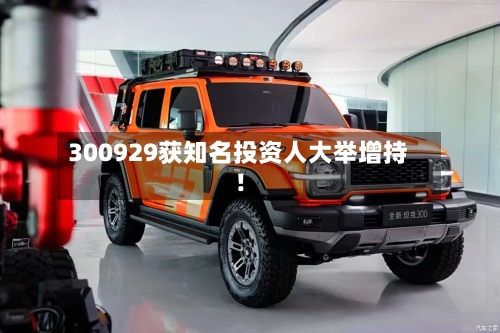 300929获知名投资人大举增持！