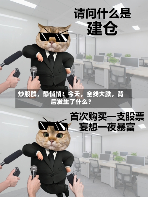 炒股群，静悄悄！今天，全线大跌	，背后发生了什么？-第2张图片