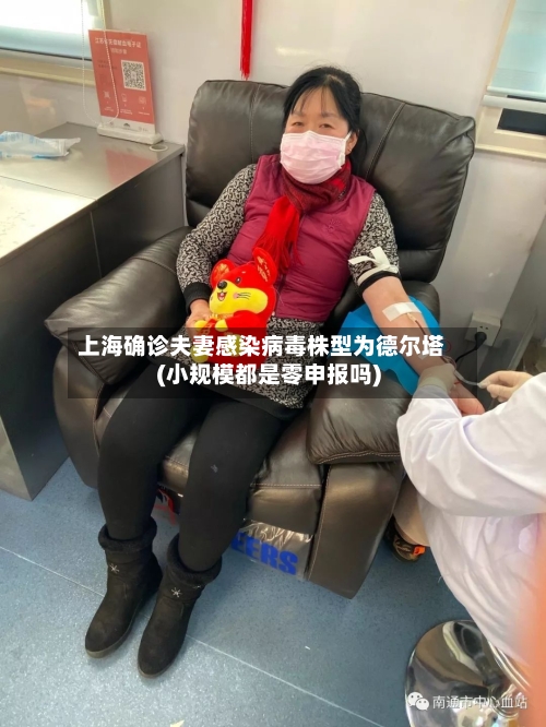 上海确诊夫妻感染病毒株型为德尔塔(小规模都是零申报吗)-第2张图片